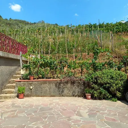 Ester Villa