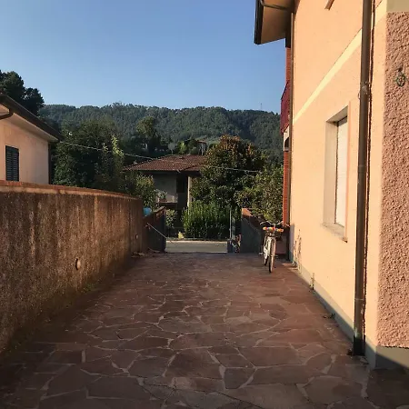 Ester * 卡麦奥雷