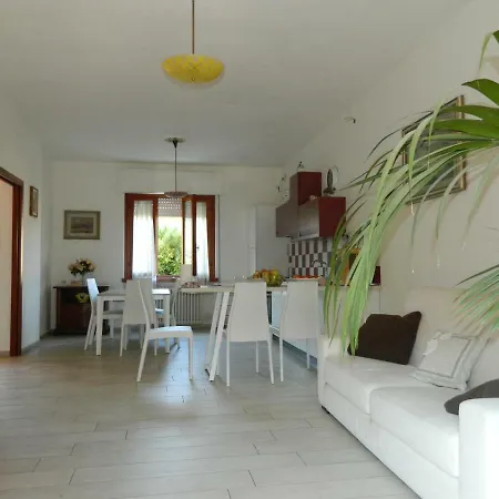 Ester * 卡麦奥雷